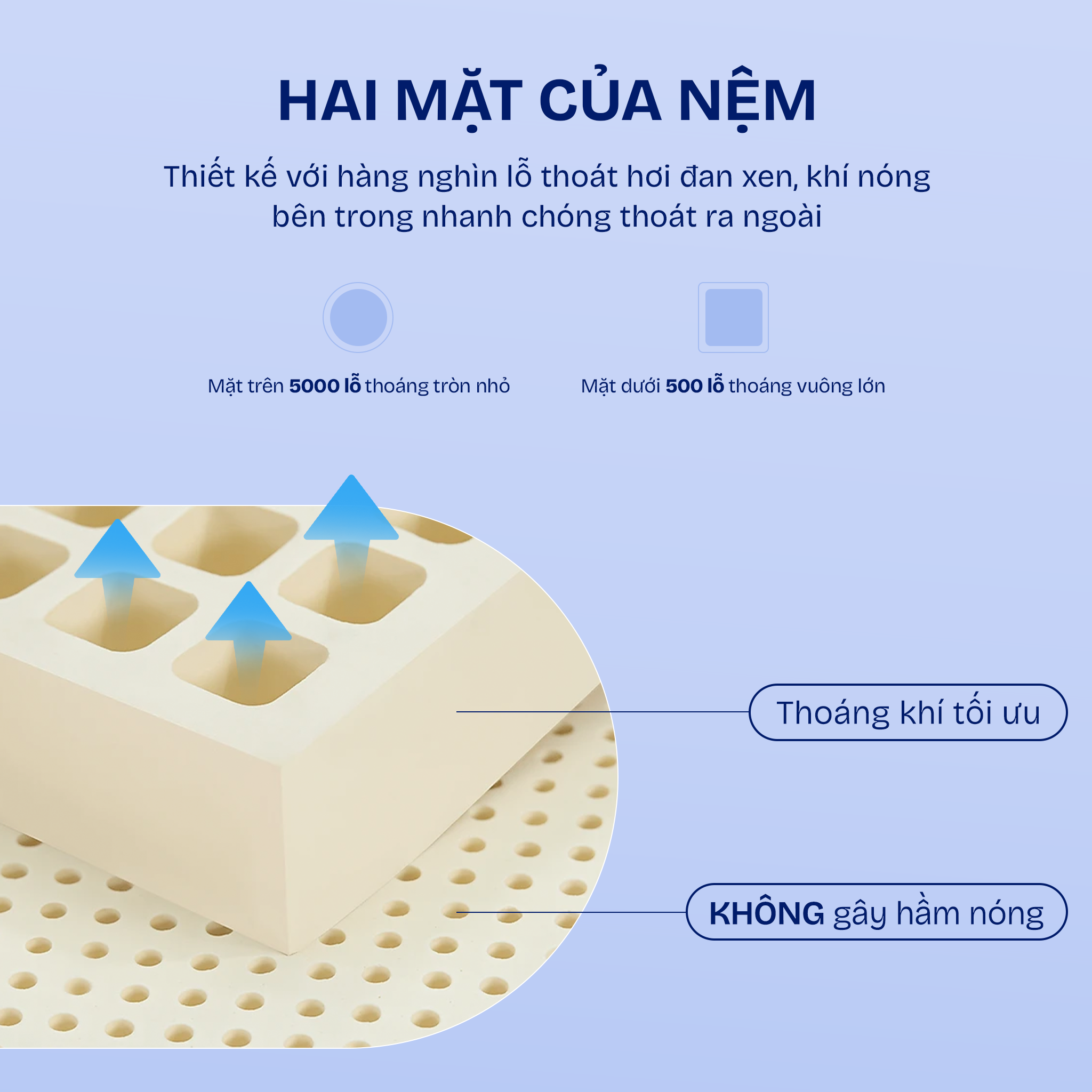 Nệm cao su Kim Cương Happy Gold