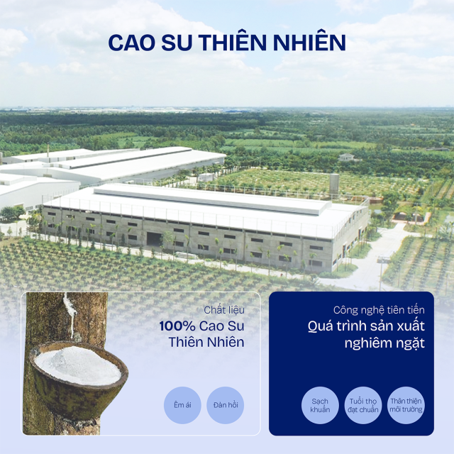 Nệm cao su Kim Cương Happy Gold