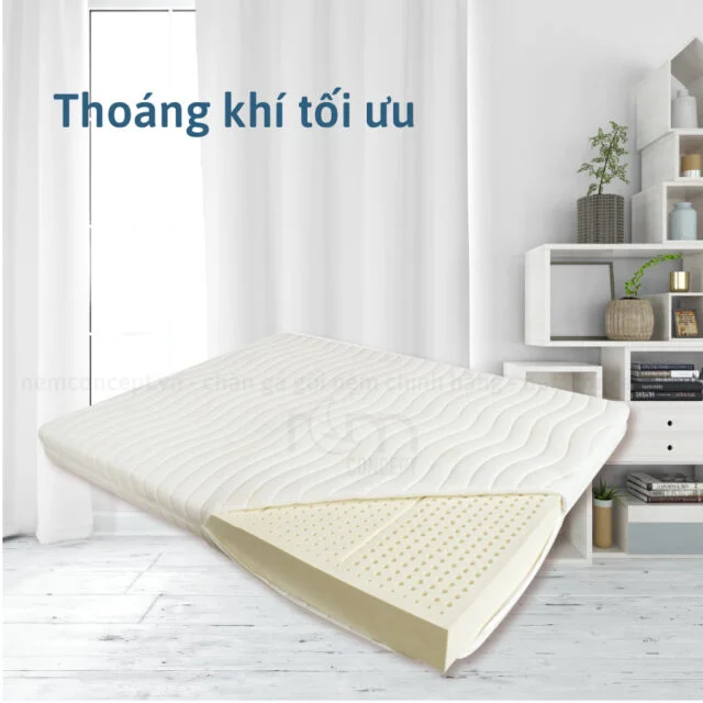 Nệm cao su 5 Zone Liên Á