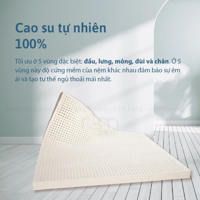 Nệm cao su 5 Zone Liên Á