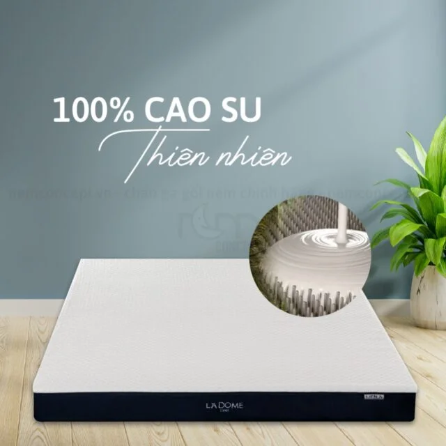 Nệm cao su Liên Á La Dome Cool