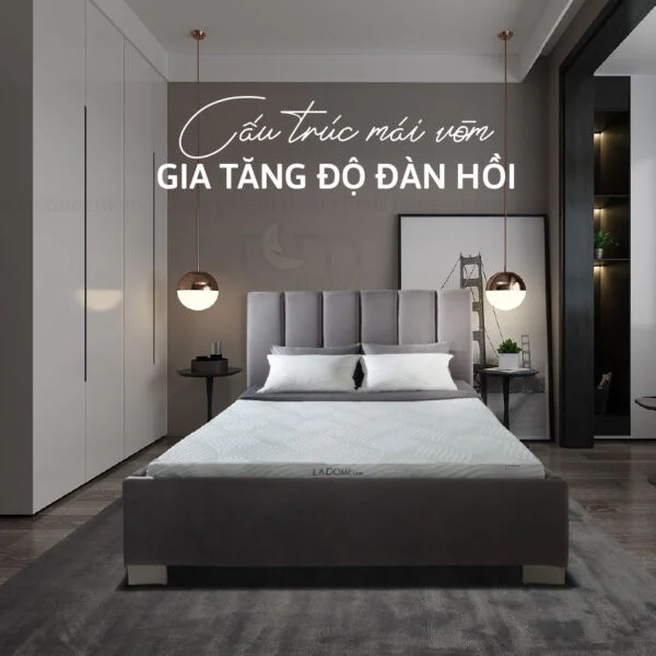 Nệm cao su Liên Á La Dome Grey