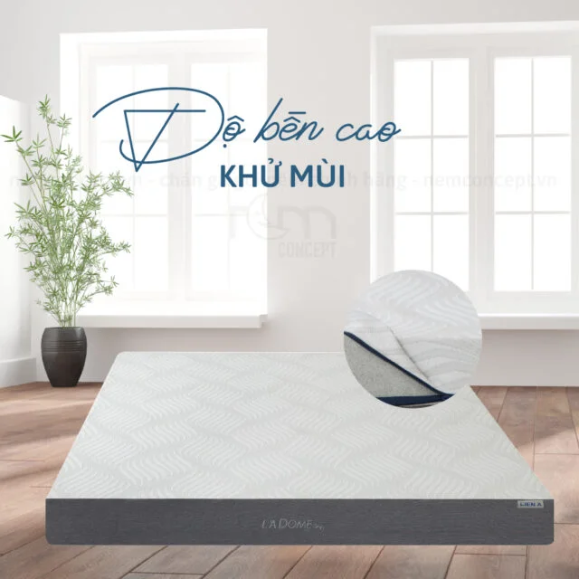 Nệm cao su Liên Á La Dome Grey