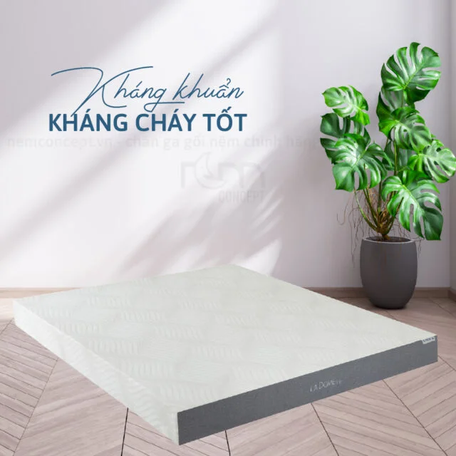 Nệm cao su Liên Á La Dome Grey
