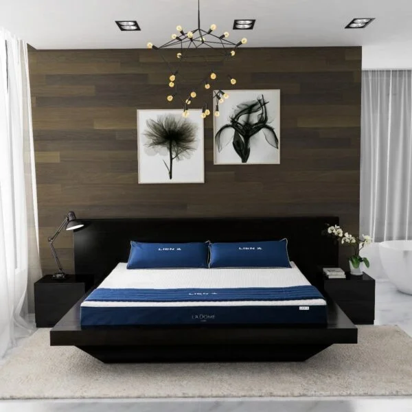 Nệm cao su Liên Á La Dome Blue