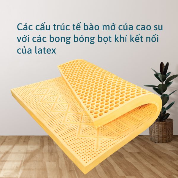 Nệm cao su Vạn Thành Segovia