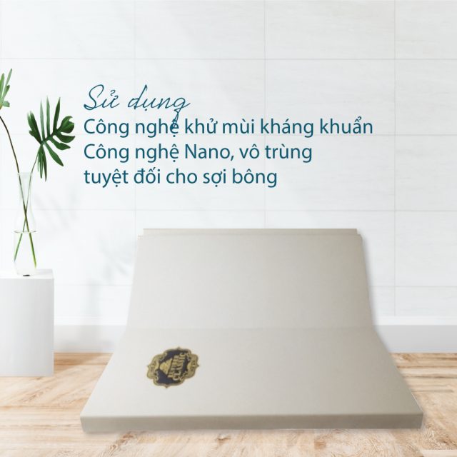 Nệm bông ép Kim Cương Eufiber Classic