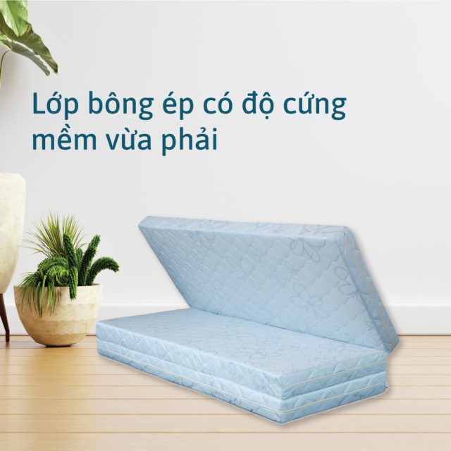Nệm bông ép MLiving Liên Á