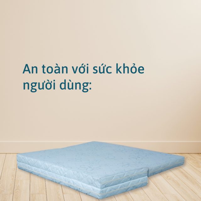 Nệm bông ép MLiving Liên Á