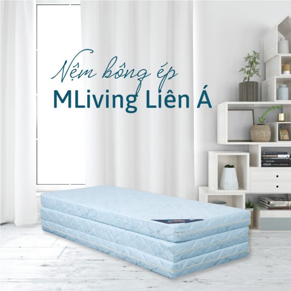 Nệm bông ép MLiving Liên Á