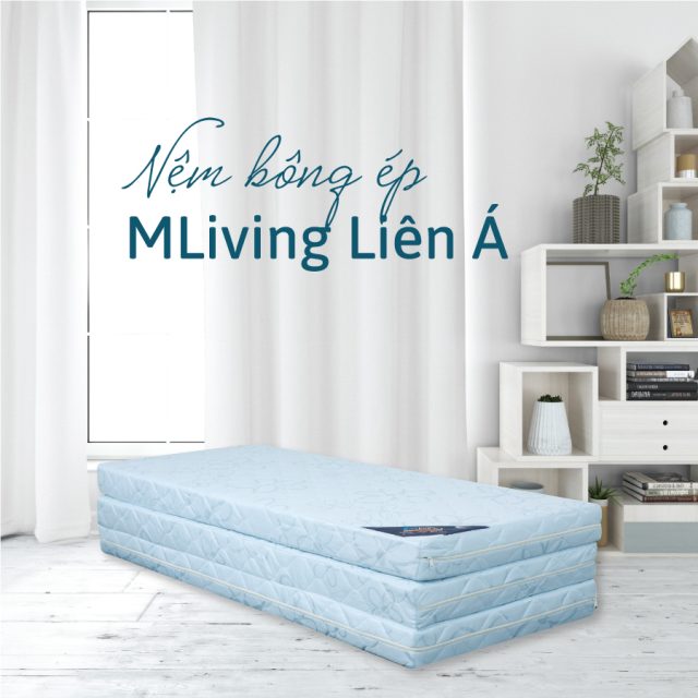 Nệm bông ép MLiving Liên Á