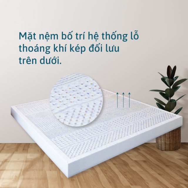 Nệm cao su Kim Cương COOLUX 7’Zone Gel