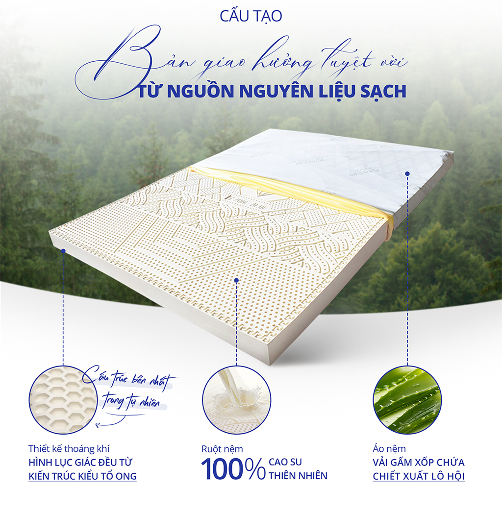 Nệm cao su thiên nhiên AloeLux Kim Cương