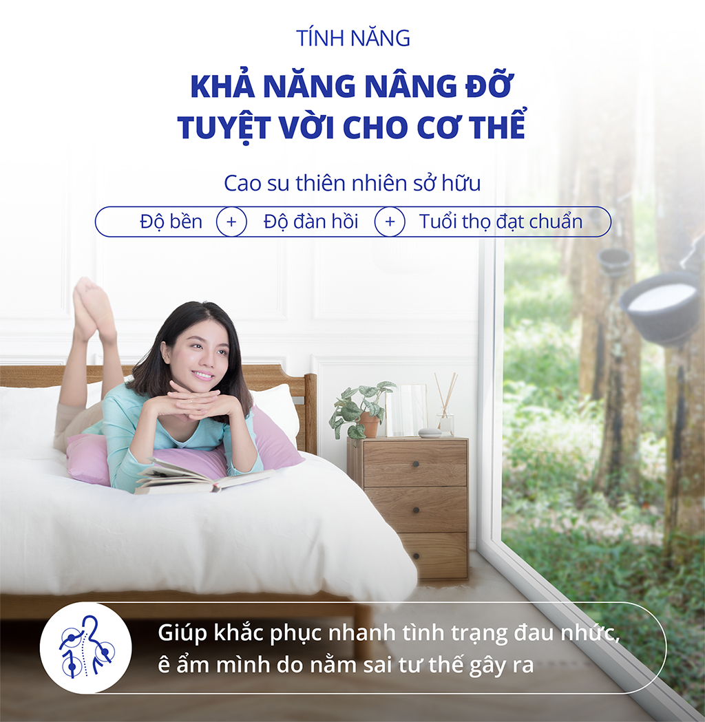 Nệm cao su thiên nhiên AloeLux Kim Cương