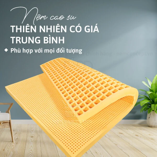 Nệm cao su Vạn Thành Standard