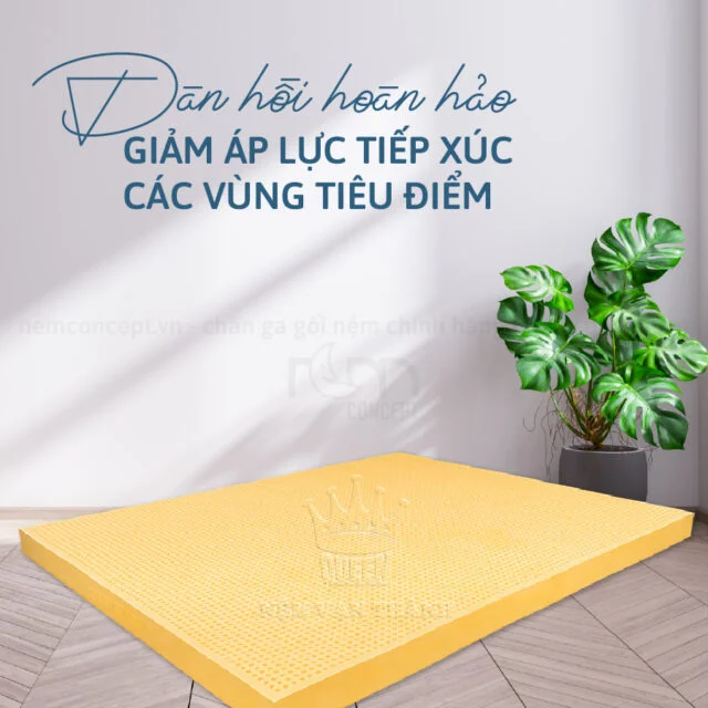 Nệm cao su Vạn Thành Standard