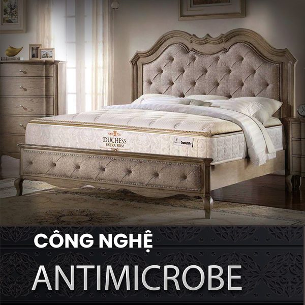 Nệm lò xo túi Dunlopillo Duchess công nghệ ANTIMICROBE