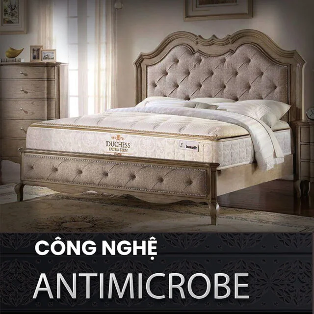 Nệm lò xo túi Dunlopillo Duchess công nghệ ANTIMICROBE