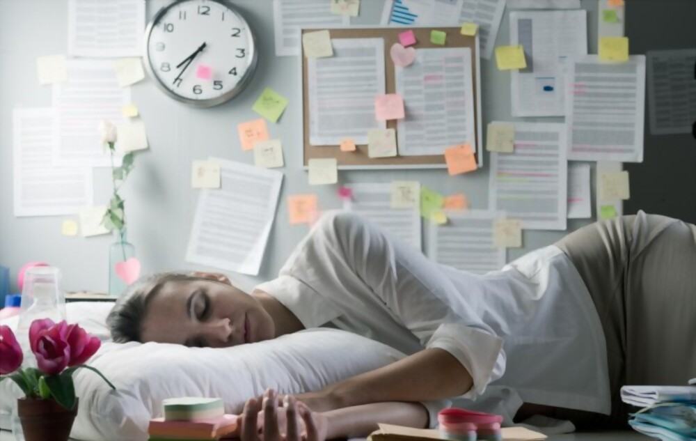 Giấc ngủ ngắn buổi trưa