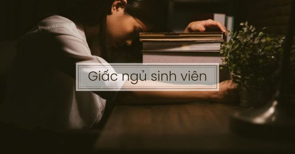 Giấc ngủ sinh viên