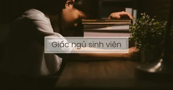 Giấc ngủ sinh viên