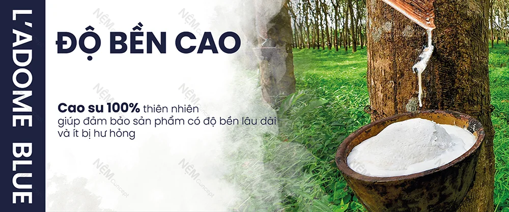 Nệm cao su Liên Á Ladome Blue rectangle 3