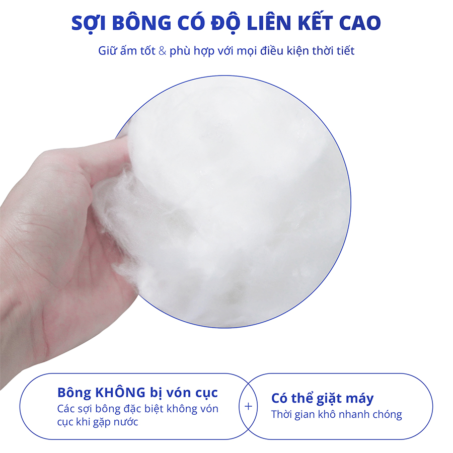 Ruột chăn bông tấm tiêu chuẩn khách sạn