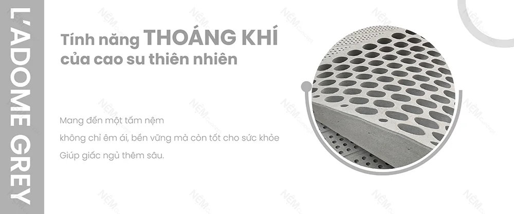 Thông tin nệm cao su Ladome Grey