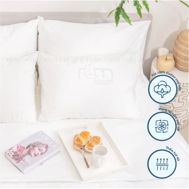 Bộ chăn ga gối cotton trắng