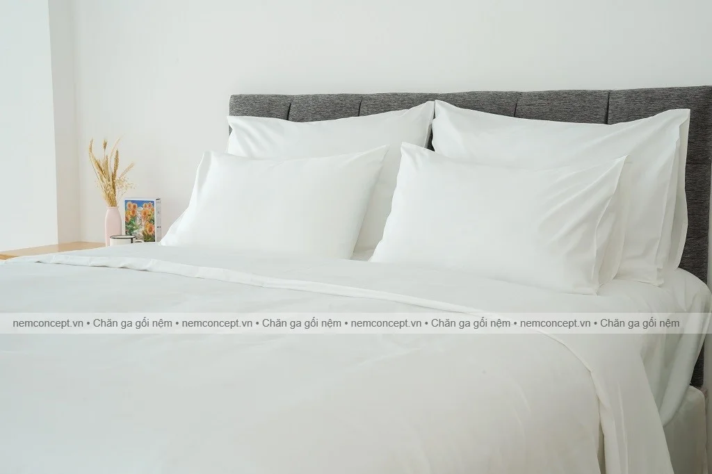 Chăn ga gối khách sạn