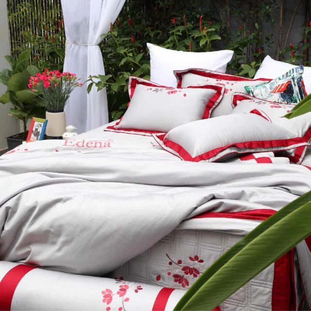 Edena Cotton Đặc Biệt 522