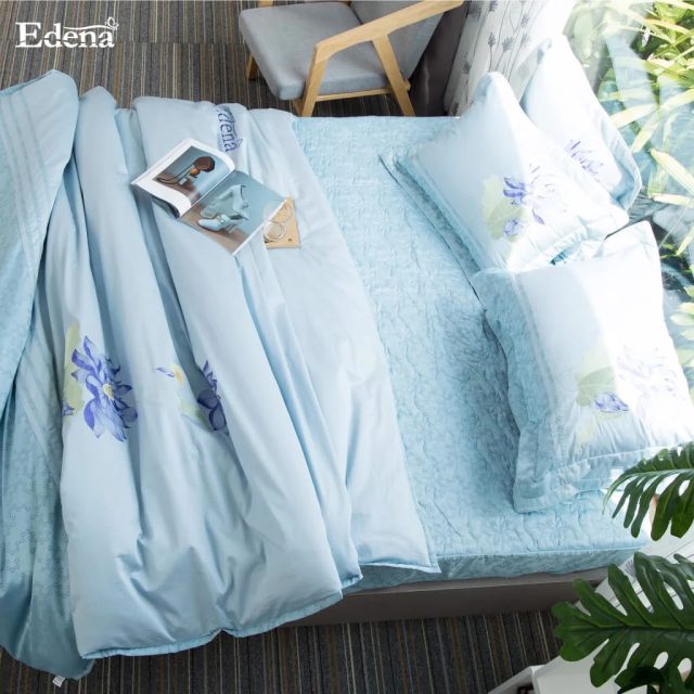 Edena Cotton Đặc Biệt 524