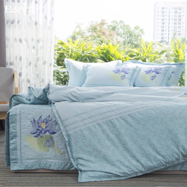 Edena Cotton Đặc Biệt 524
