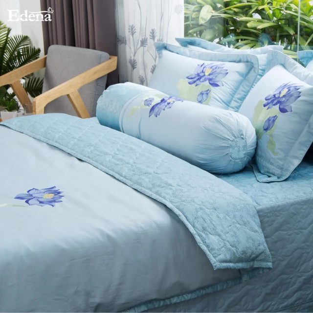 Edena Cotton Đặc Biệt 524