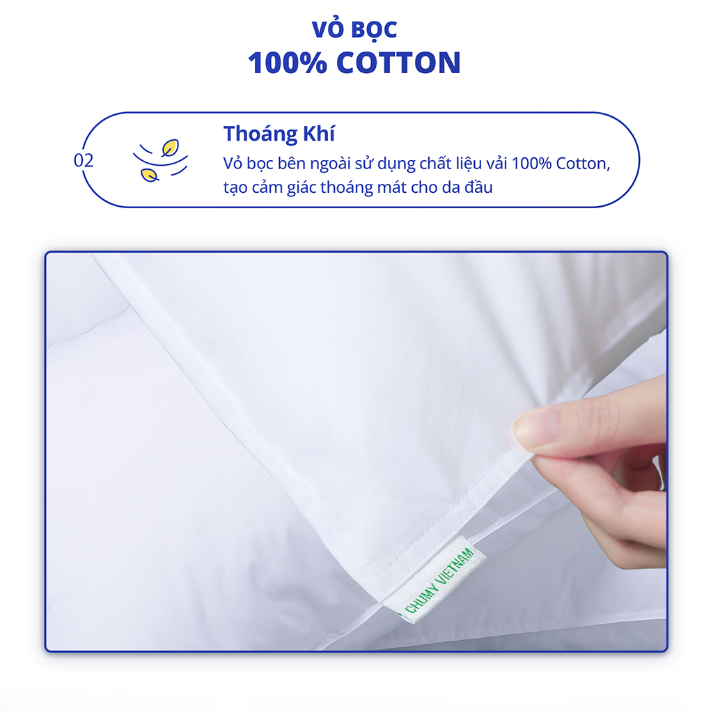 Ruột gối cao cấp CHU MY
