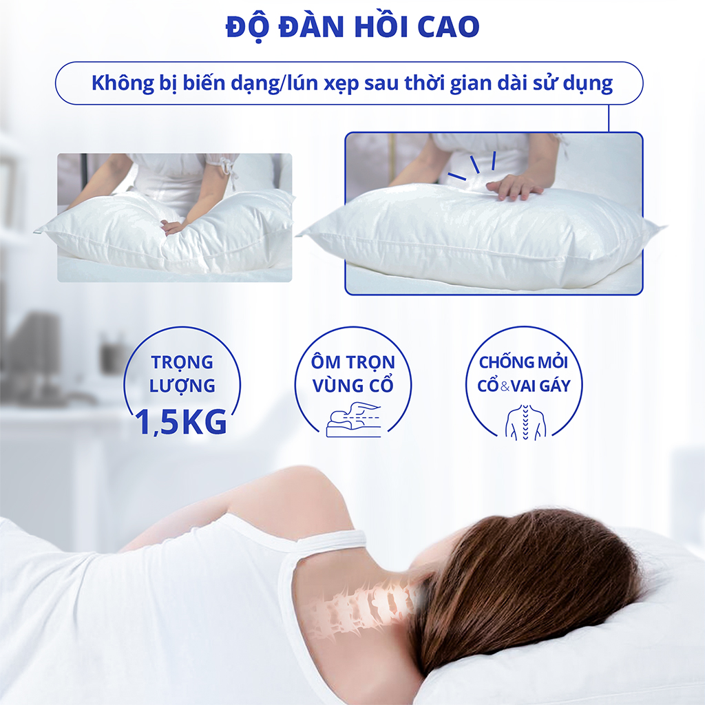 Ruột gối cao cấp CHU MY