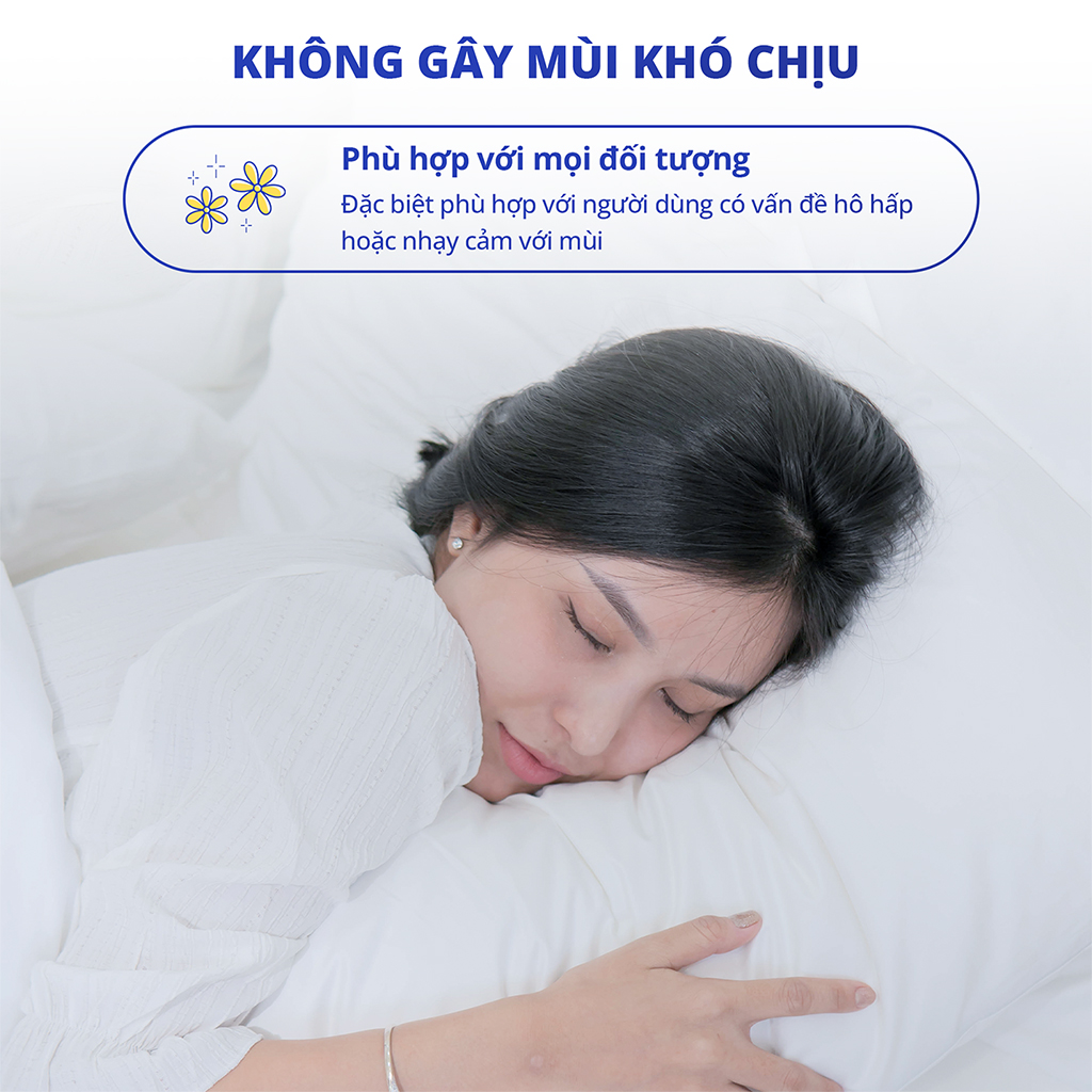 Ruột gối cao cấp CHU MY