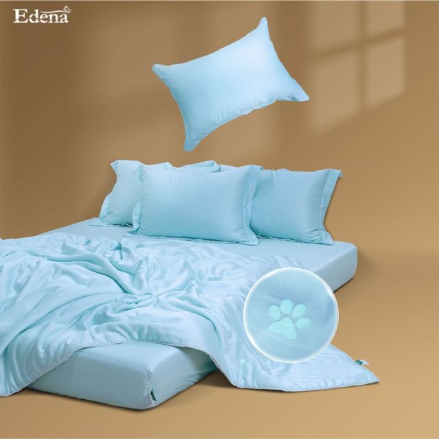 Bộ Ra Tencel Silkie A604