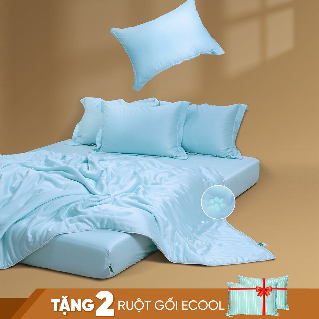 Bộ Ra Tencel Silkie A604