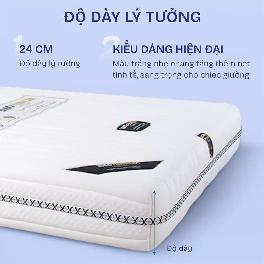 Nệm lò xo túi Number One độ dày 24cm